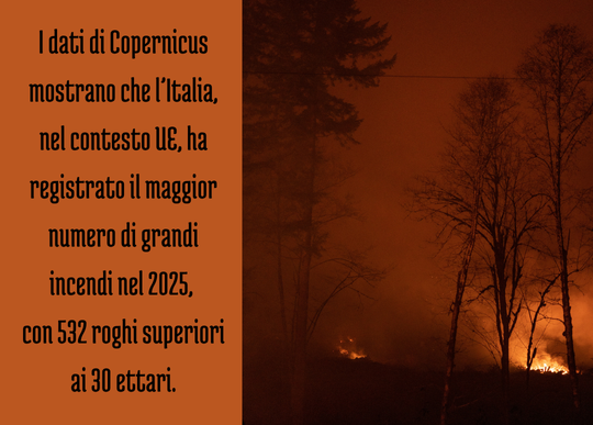 incendi bosco italia in UE.png